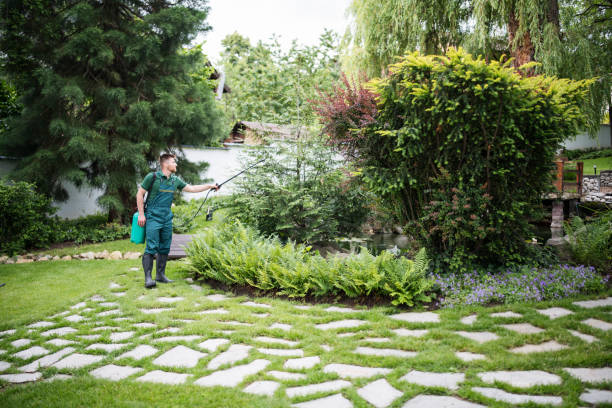Best Pest Inspection Near Me  in Mountain Top, PA