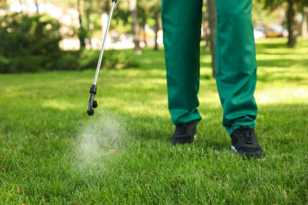 Best Rat Extermination Near Me  in Mountain Top, PA
