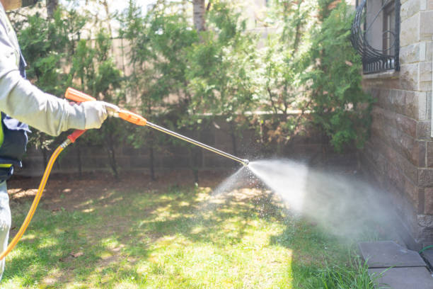 Best Pest Prevention Services  in Mountain Top, PA