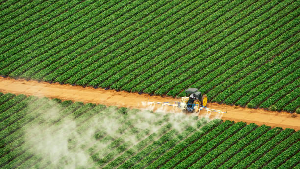 Best Mosquito Control Services  in Mountain Top, PA